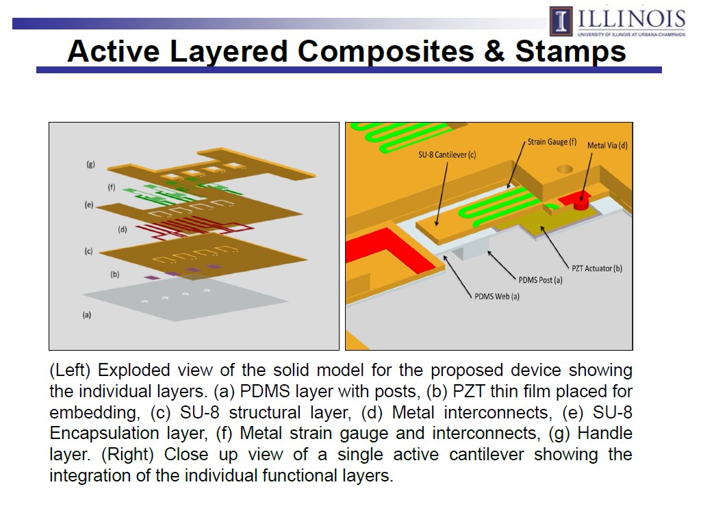 Active Layered Composites & Stamps