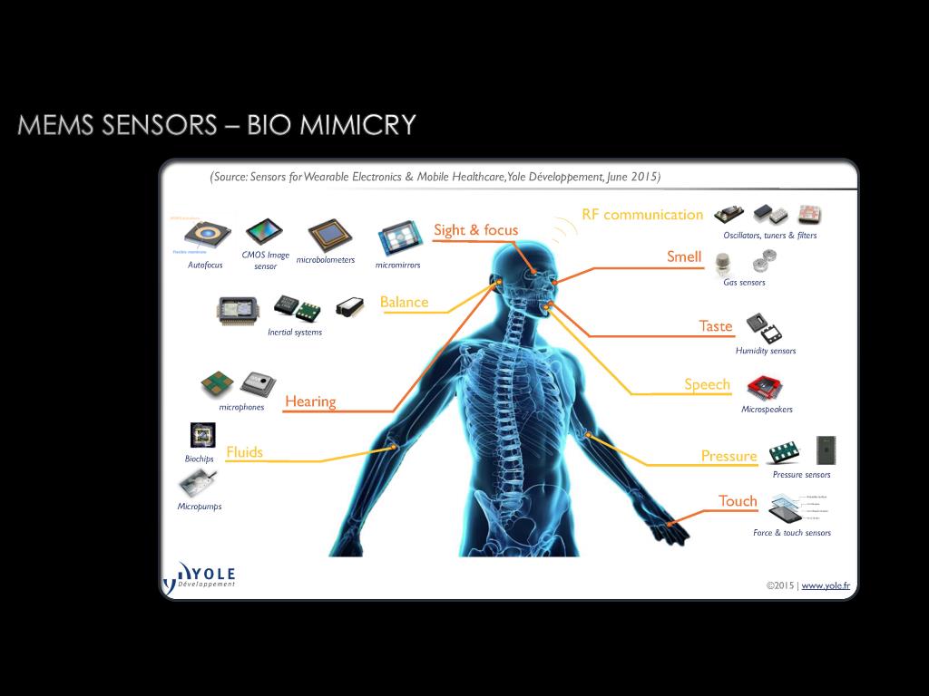 MEMS Sensors – Bio Mimicry