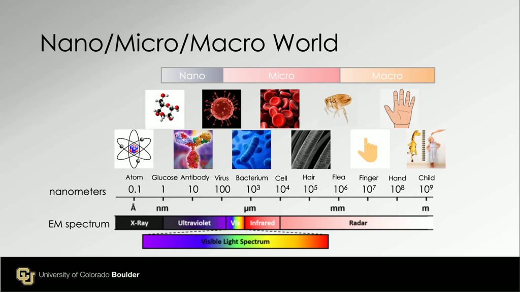 Nano/Micro/Macro World