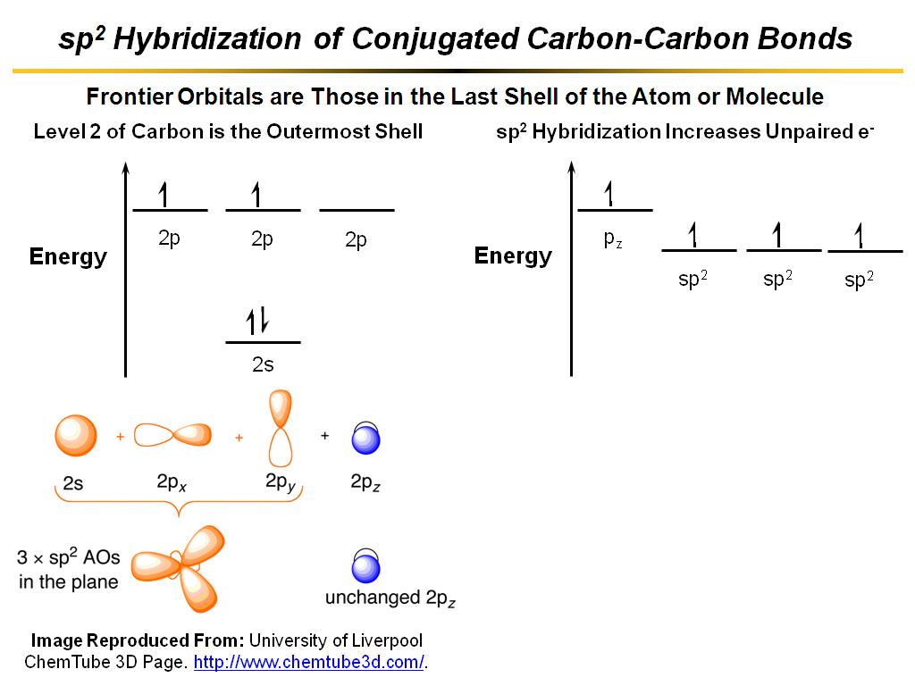 sp2 Hybridization of Conjugated Carbon-Carbon Bonds