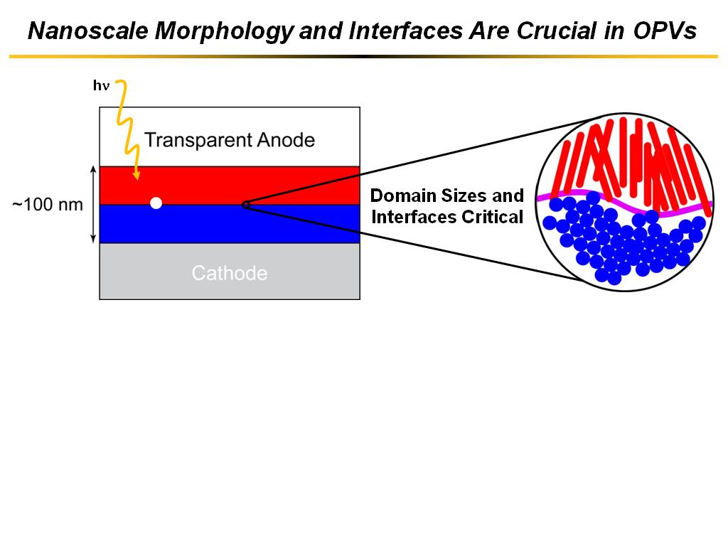 Nanoscale Morphology and Interfaces Are Crucial in OPVs