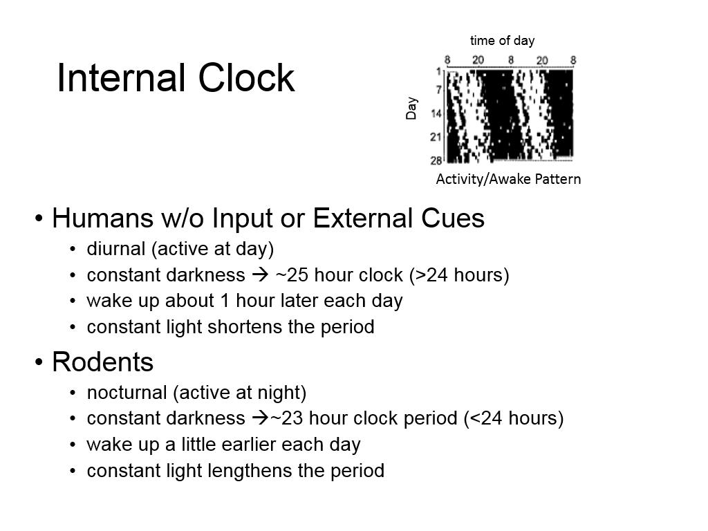Internal Clock