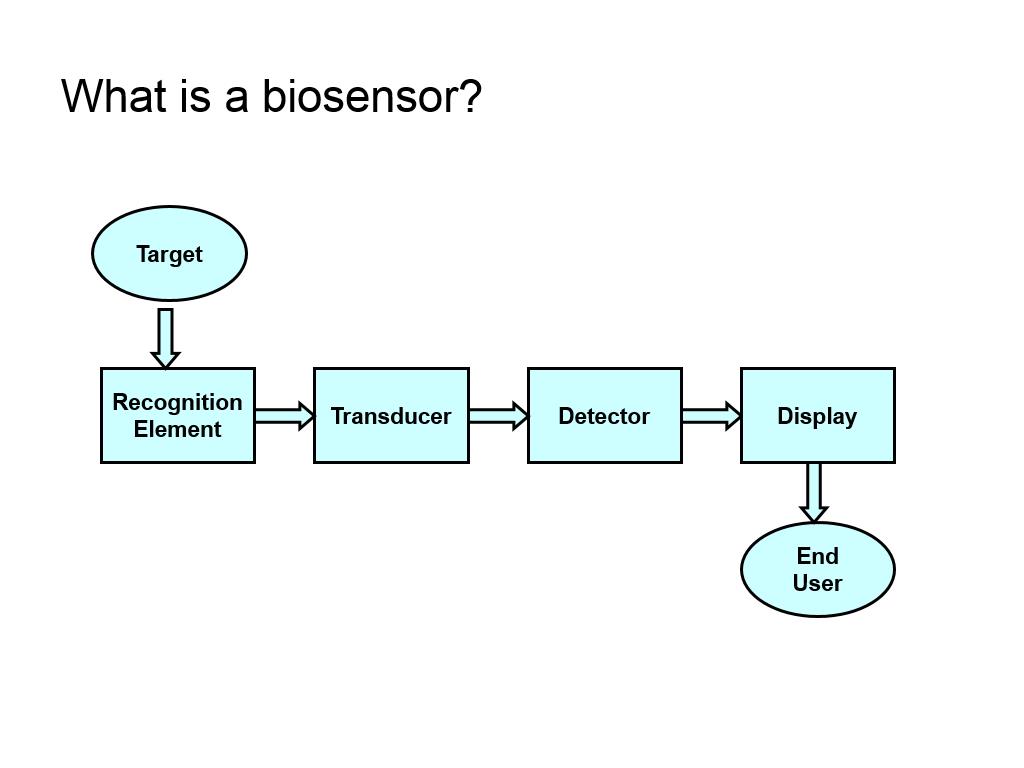 What is a biosensor?