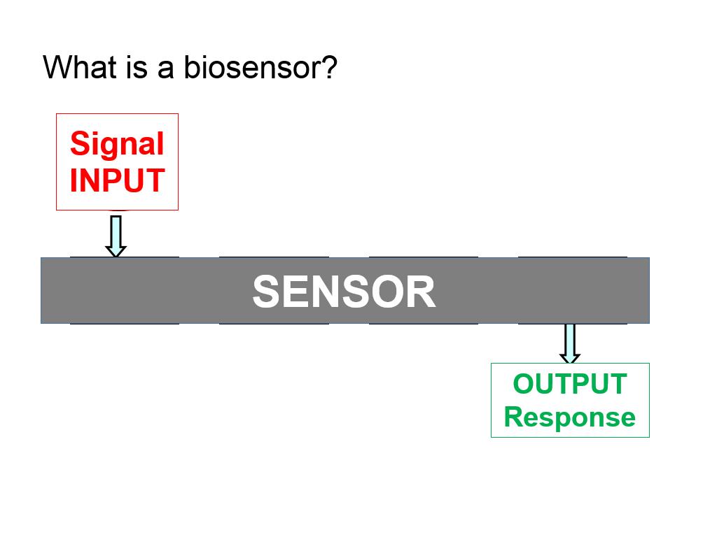 What is a biosensor?