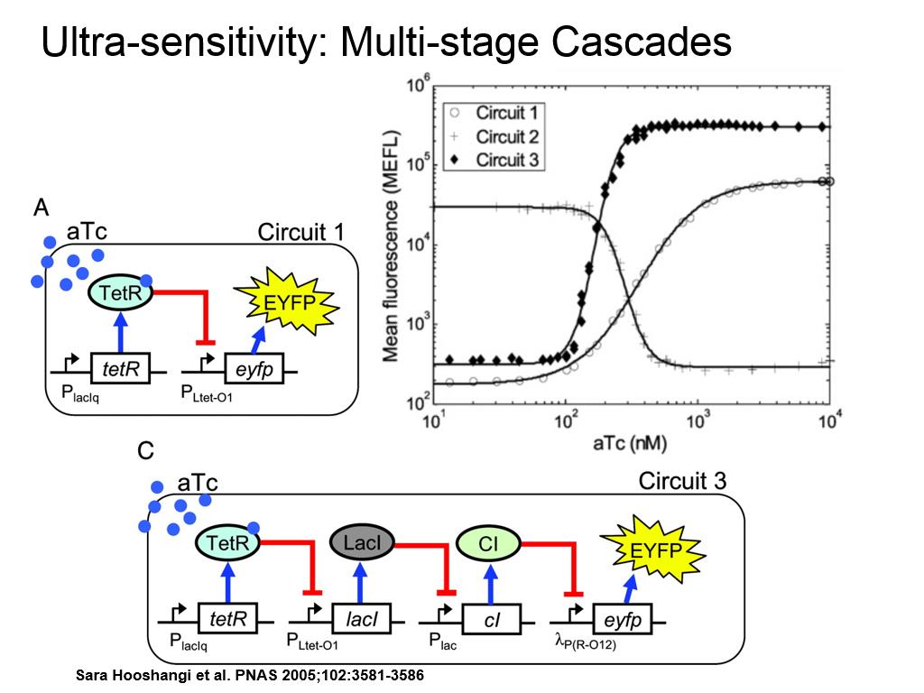 Ultra-sensitivity: Multi-stage Cascades
