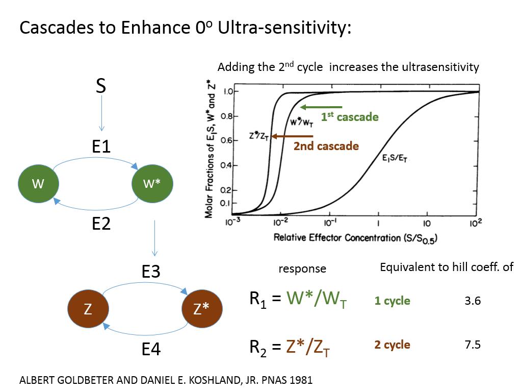 Cascades to Enhance 0o Ultra-sensitivity:
