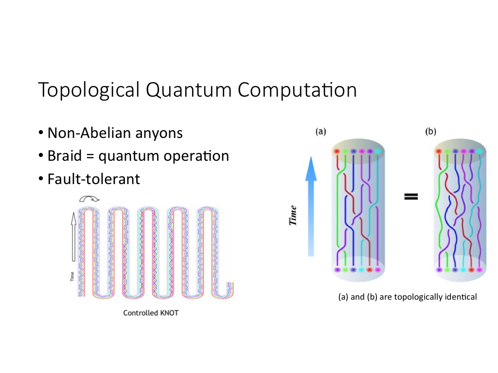 Topological Quantum Computation