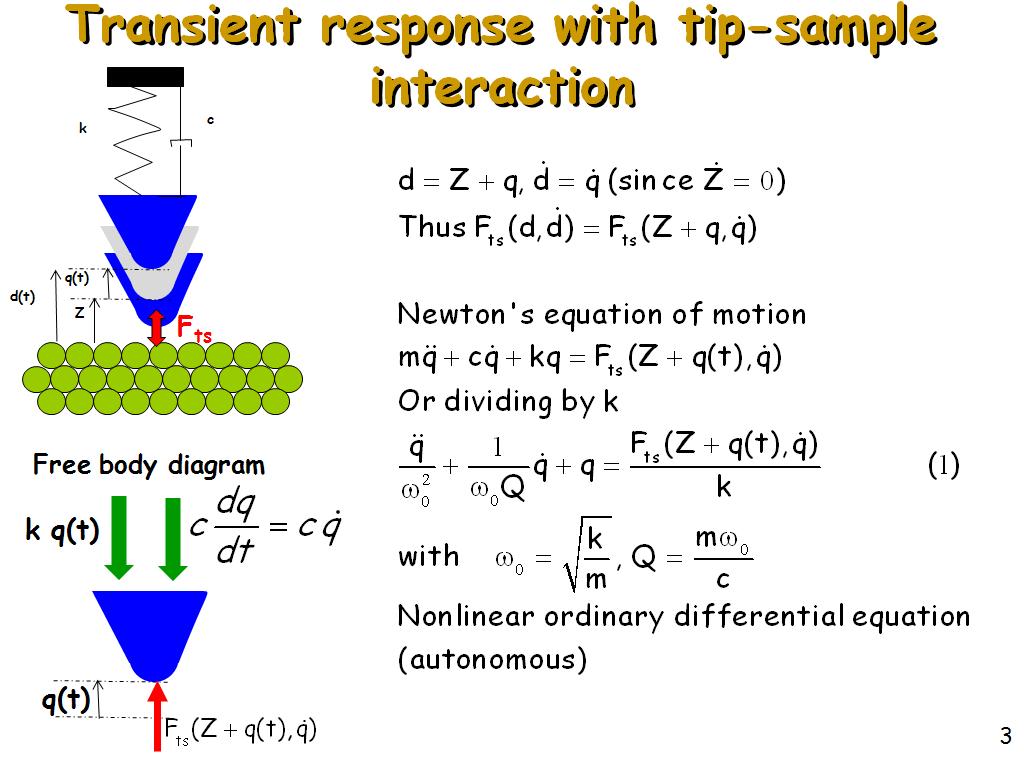 Transient response with tip-sample interaction