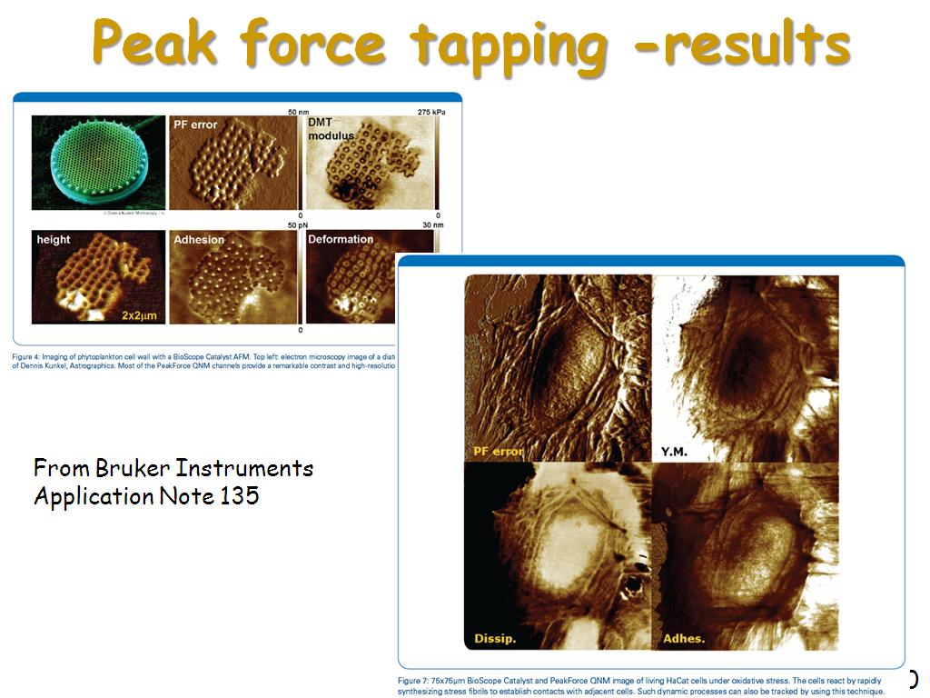 Peak force tapping -results