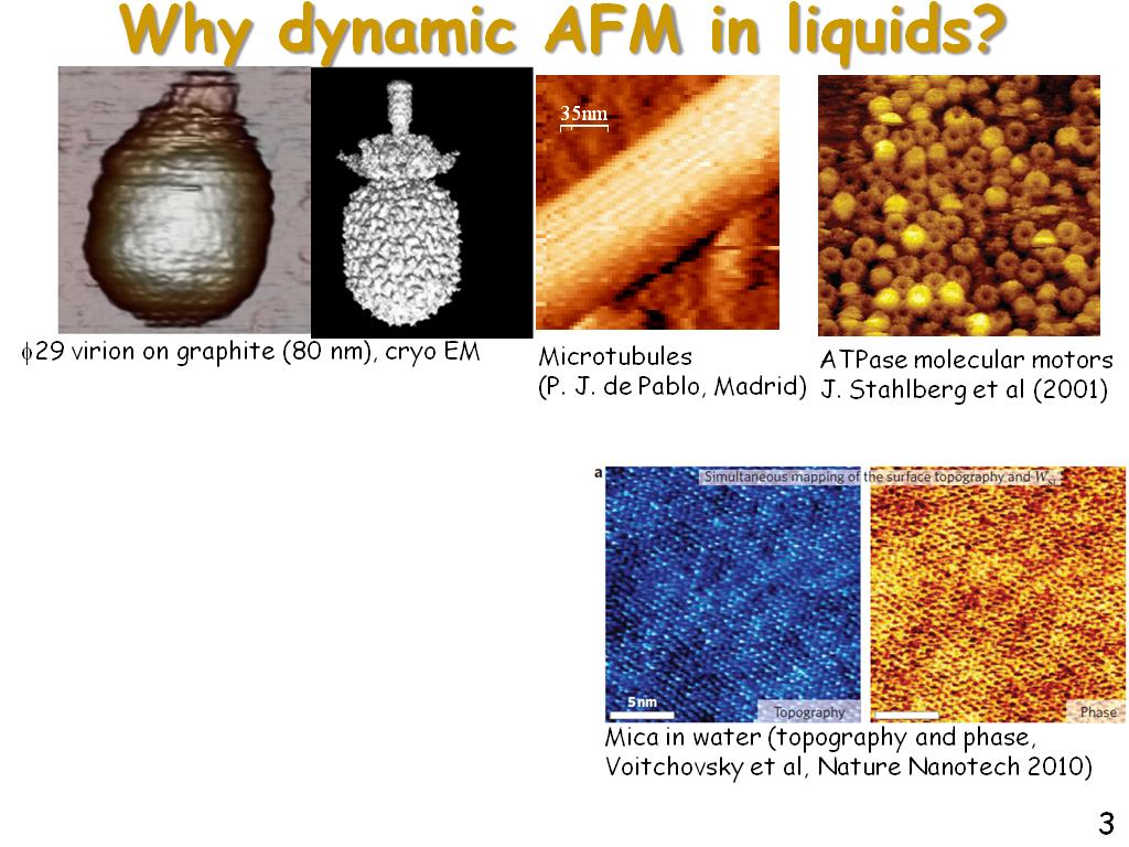 Why dynamic AFM in liquids?