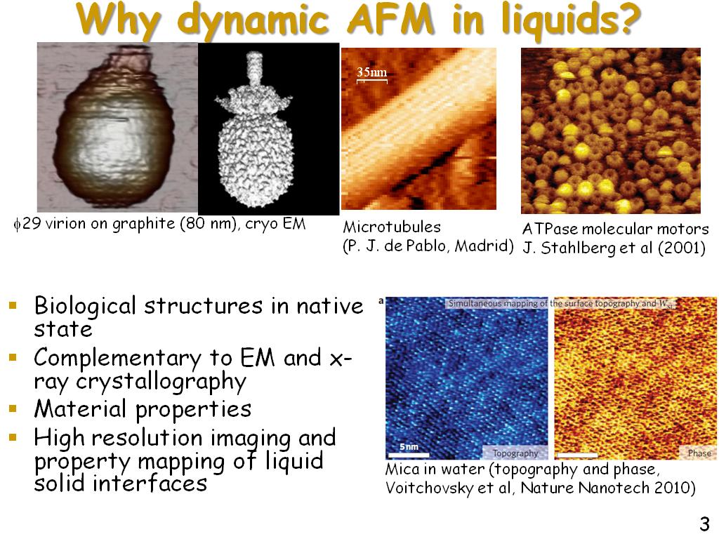 Why dynamic AFM in liquids?