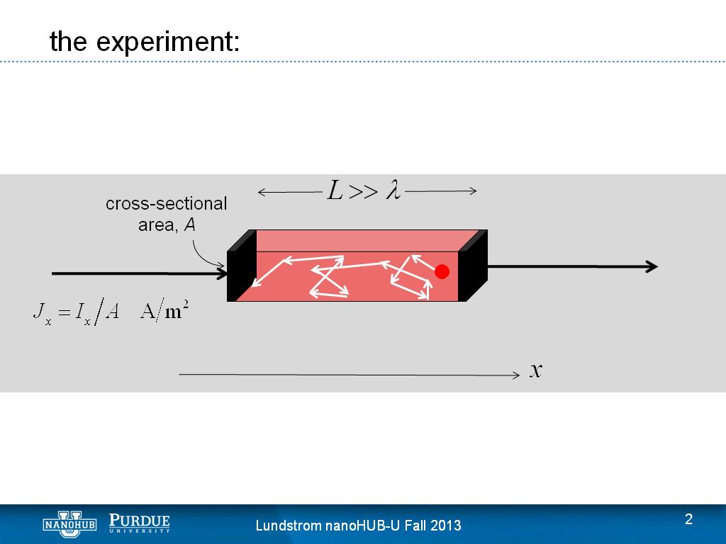 the experiment: