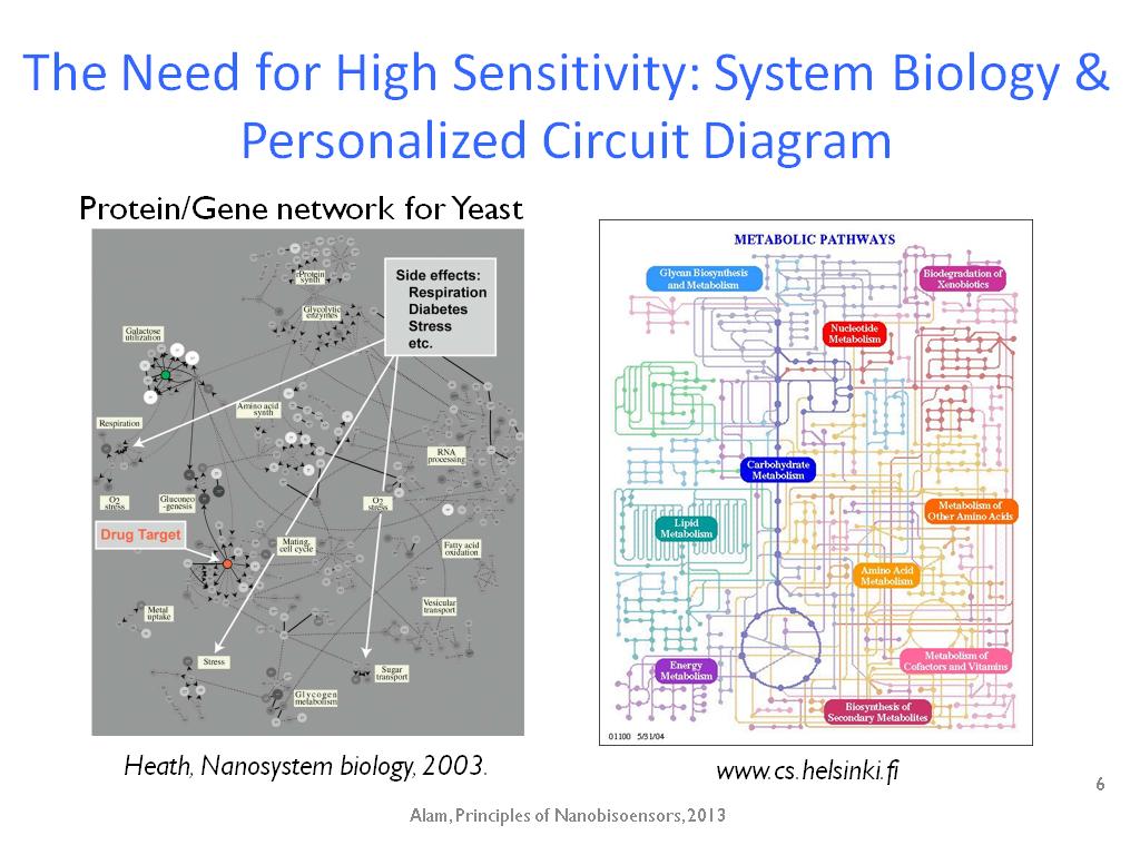 The Need for High Sensitivity: System Biology & Personalized Circuit Diagram