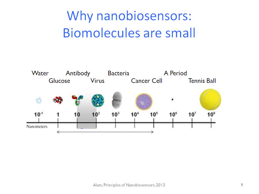 Why nanobiosensors: Biomolecules are small