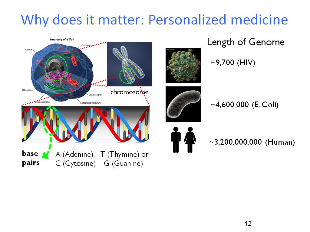 Why does it matter: Personalized medicine