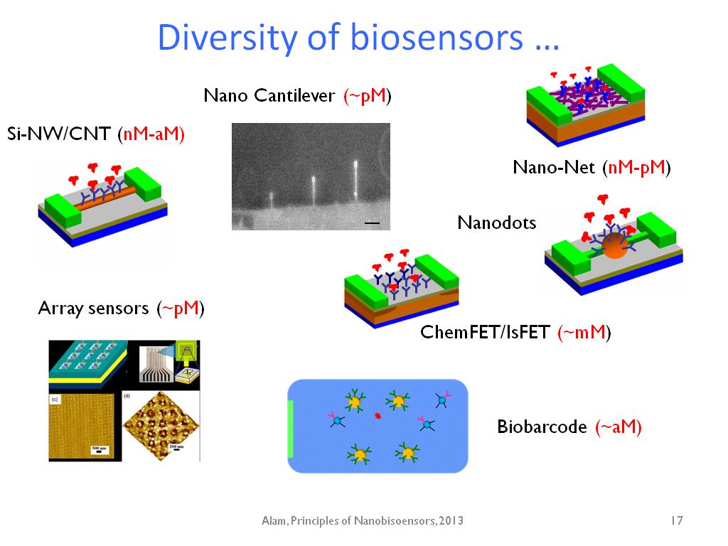 Diversity of biosensors …
