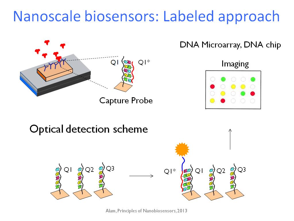 Courses Nanohub U Principles Of Electronic Nanobiosensors 01a 