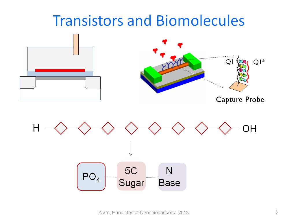 Transistors and Biomolecules