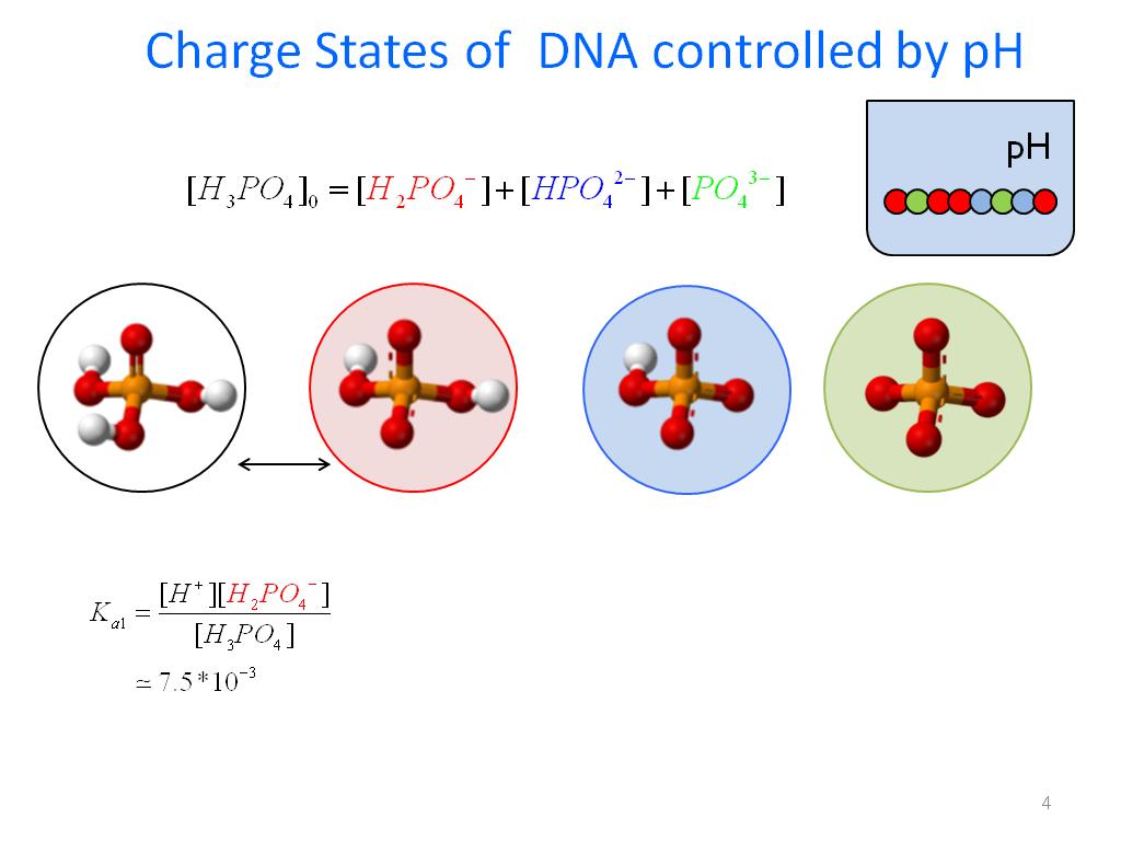 Charge States of DNA controlled by pH