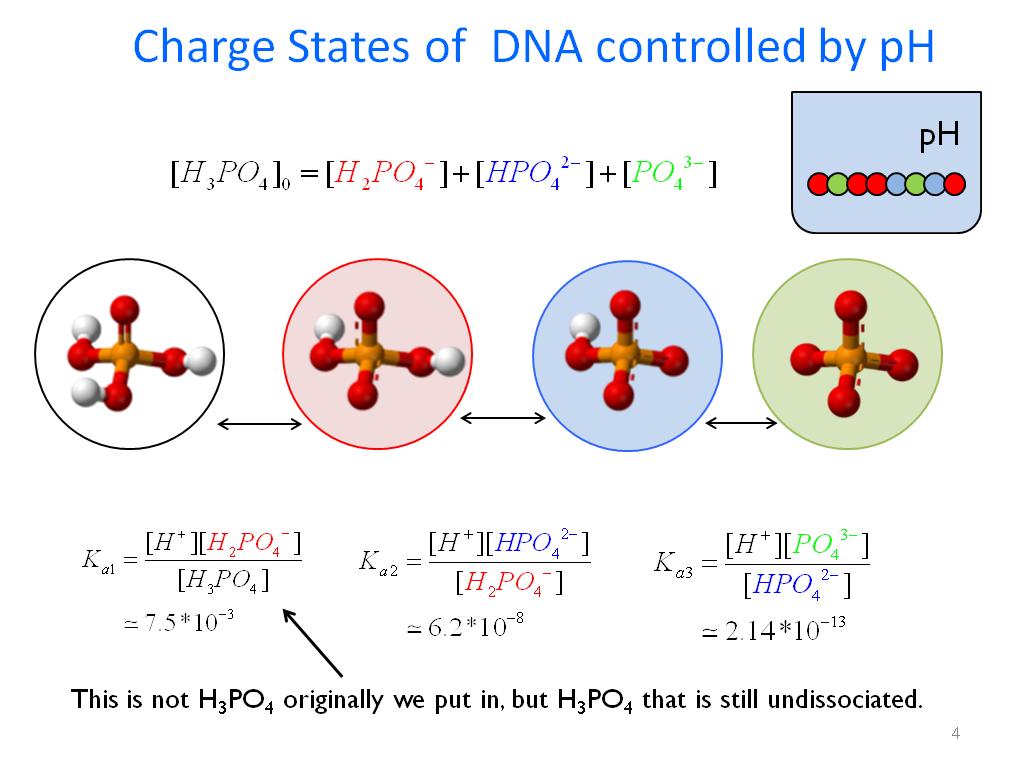 Charge States of DNA controlled by pH
