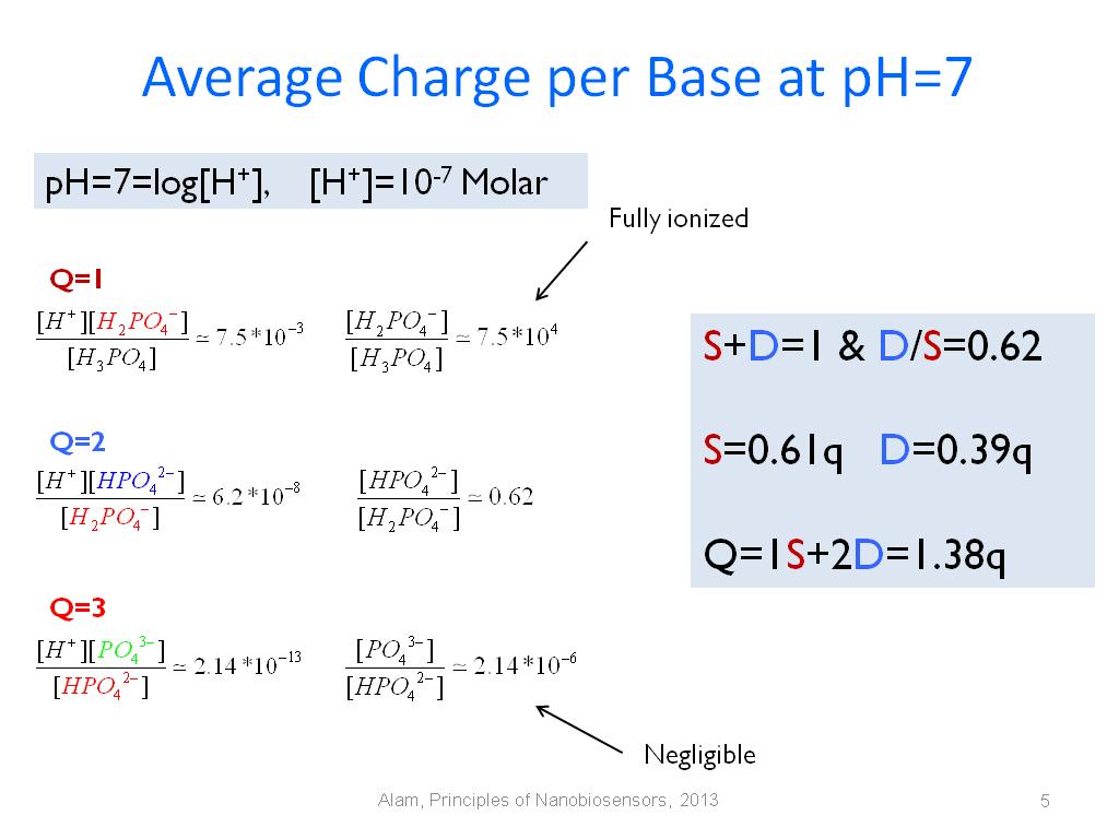 Average Charge per Base at pH=7