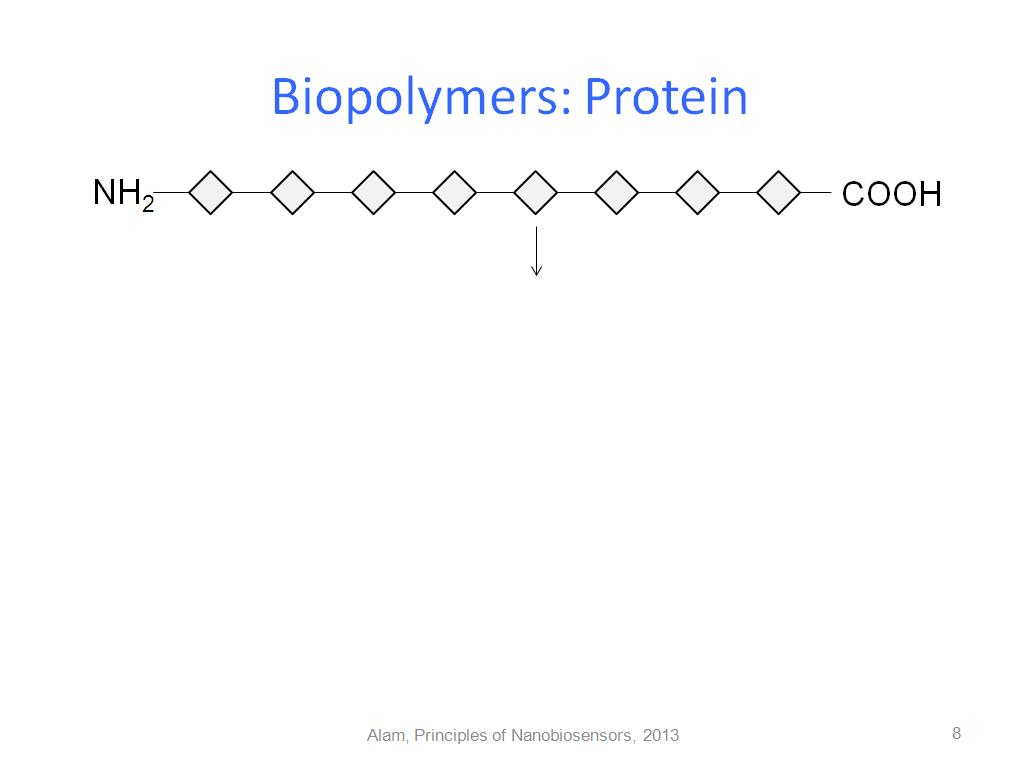 Biopolymers: Protein