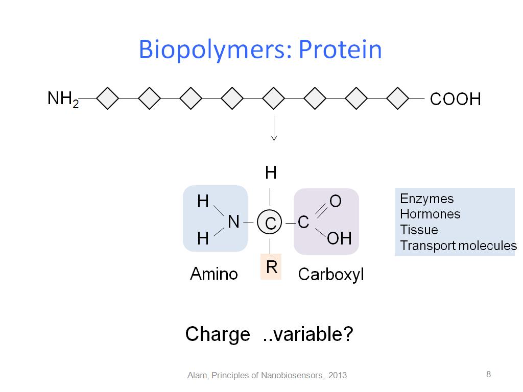 Biopolymers: Protein