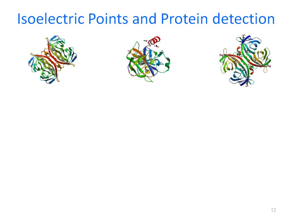 Isoelectric Points and Protein detection