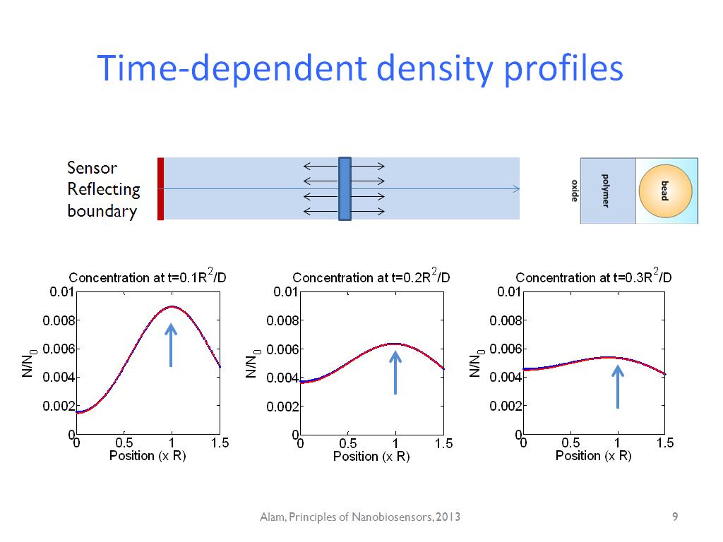 Time-dependent density profiles