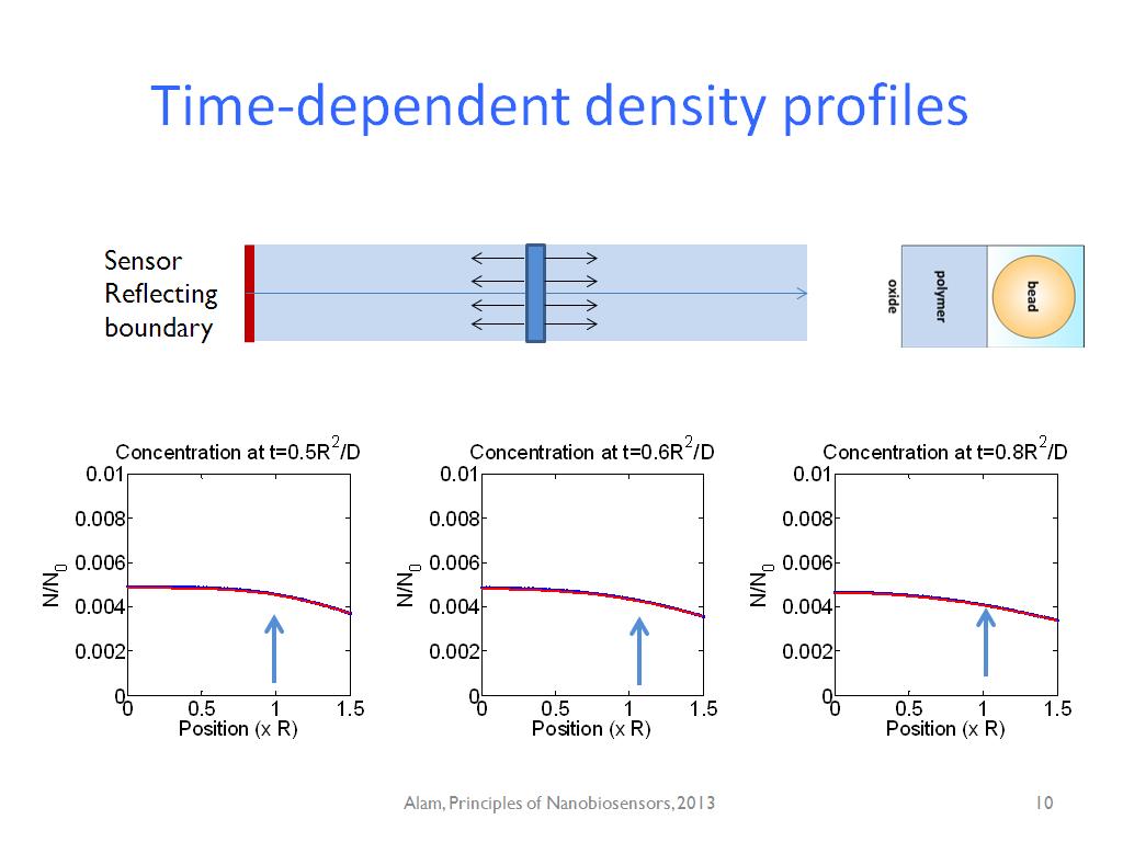 Time-dependent density profiles