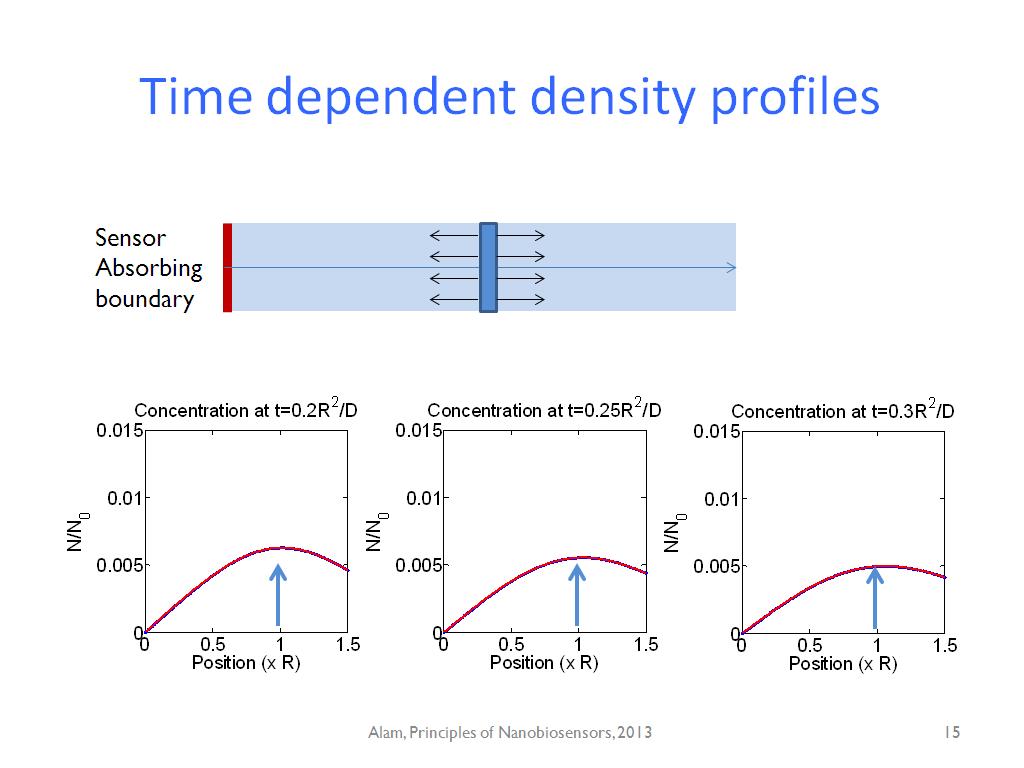 Time dependent density profiles
