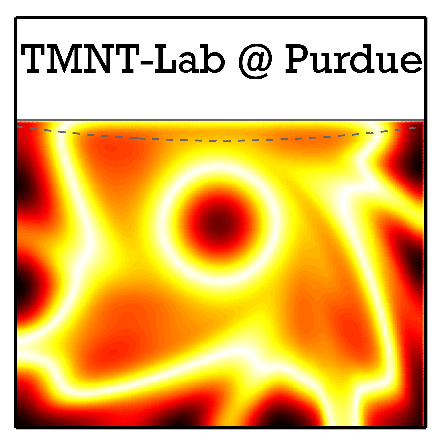Transport: Modeling, Numerics & Theory Laboratory (TMNT-Lab) Logo