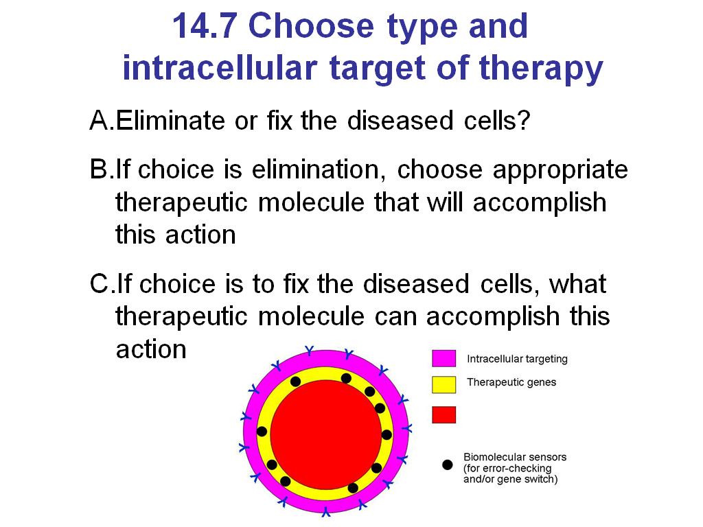14.7 Choose type and intracellular target of therapy