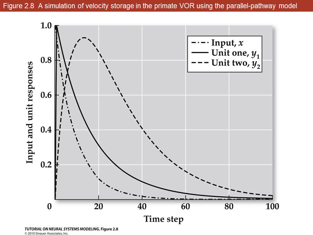 Figure 2.8 A simulation of velocity storage in the primate VOR using the parallel-pathway model