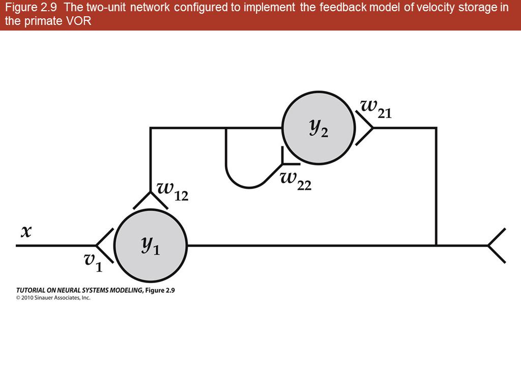 Figure 2.9 The two-unit network configured to implement the feedback model of velocity storage in the primate VOR