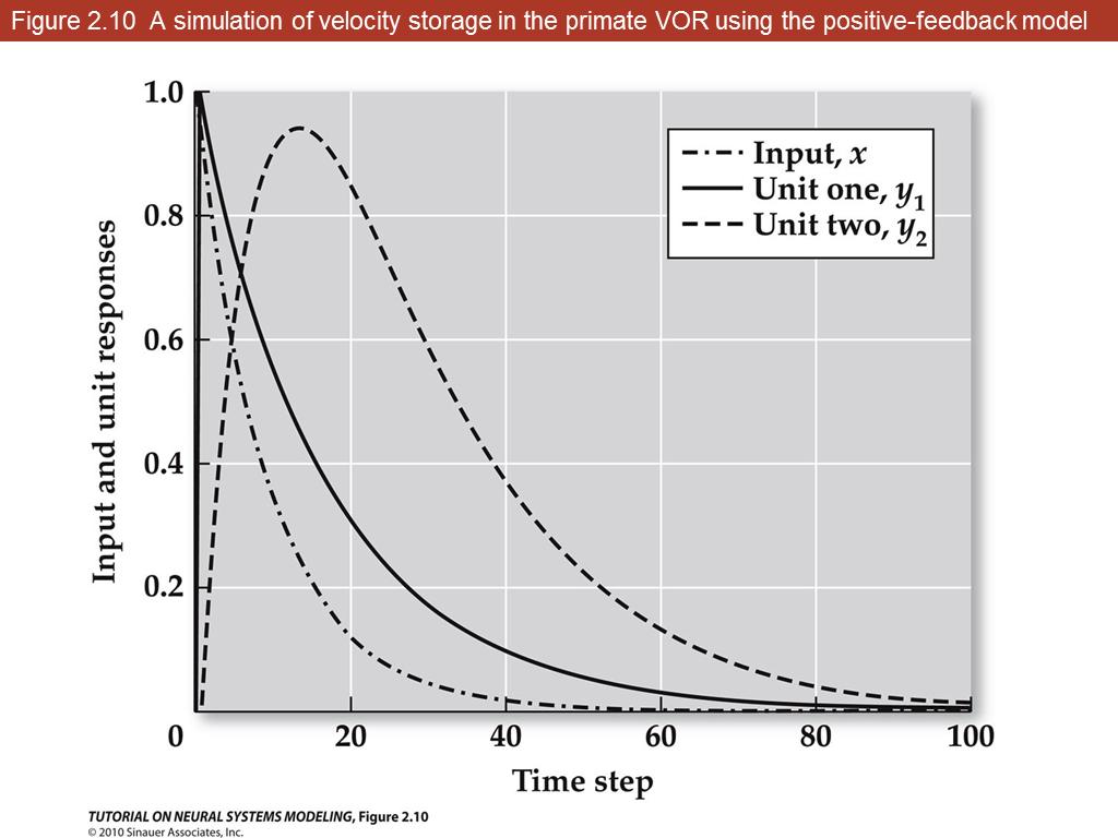 Figure 2.10 A simulation of velocity storage in the primate VOR using the positive-feedback model