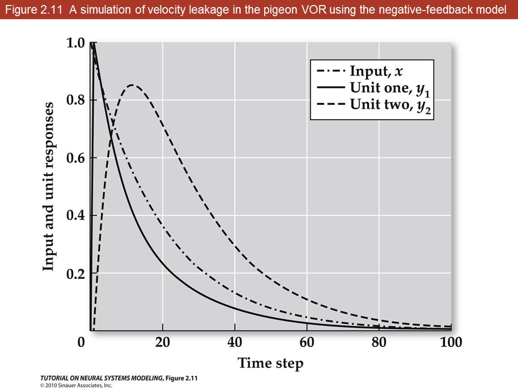 Figure 2.11 A simulation of velocity leakage in the pigeon VOR using the negative-feedback model