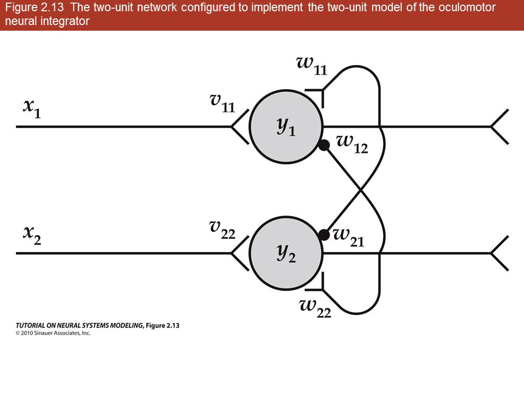 Figure 2.13 The two-unit network configured to implement the two-unit model of the oculomotor neural integrator