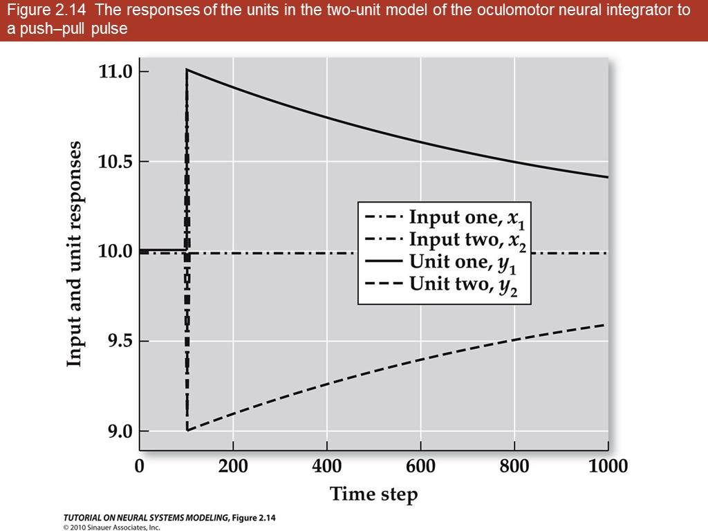 Figure 2.14 The responses of the units in the two-unit model of the oculomotor neural integrator to a push–pull pulse