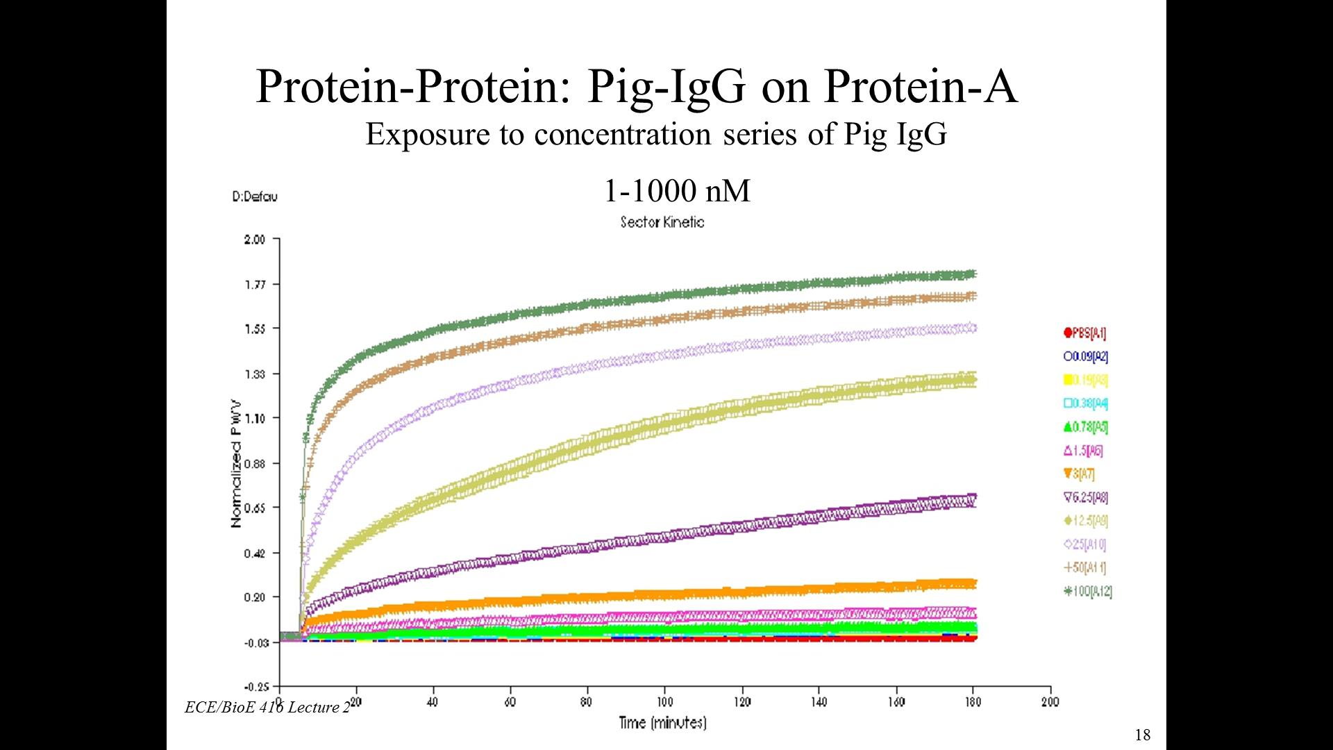 Protein-Protein: Pig-IgG on Protien-A
