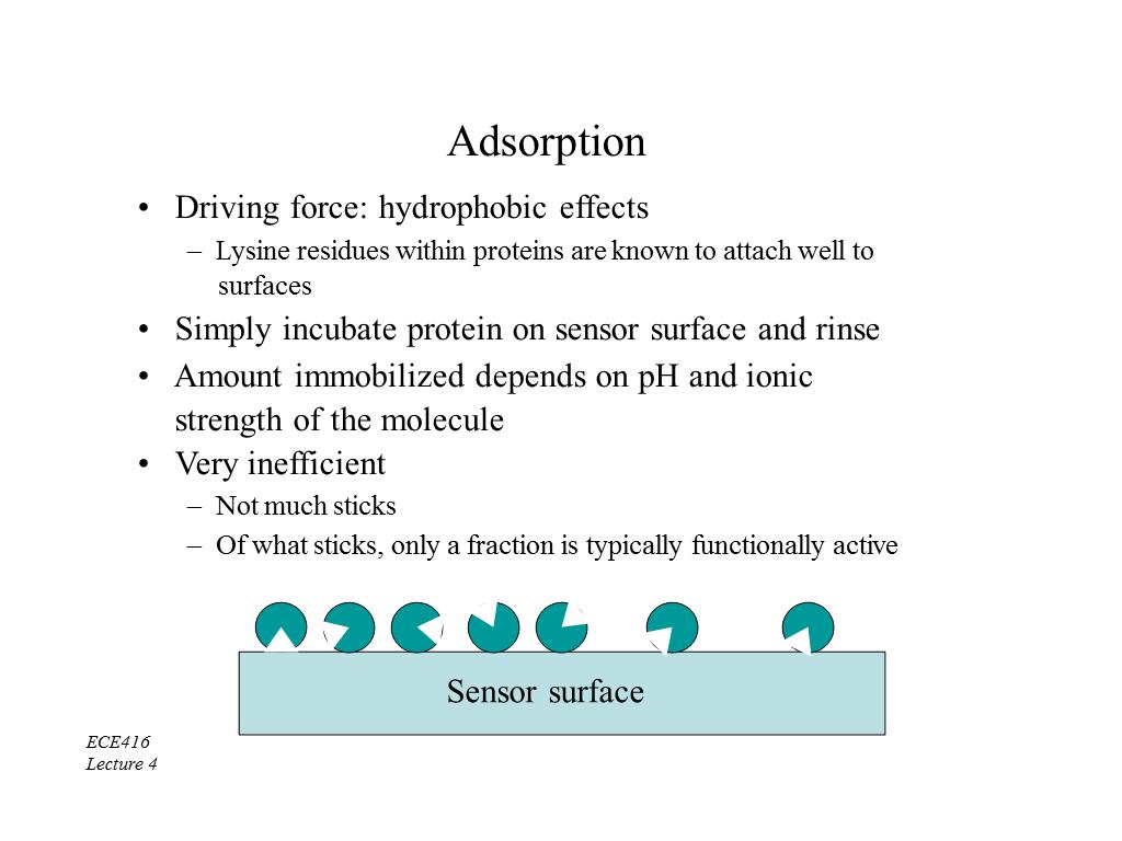 Adsorption