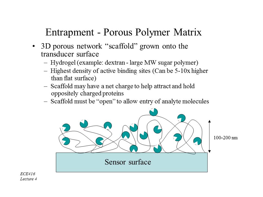 Entrapment - Porous Polymer Matrix