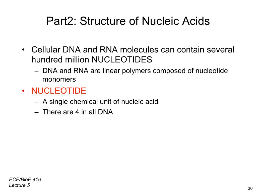 Part 2: Structure of Nucleic Acids