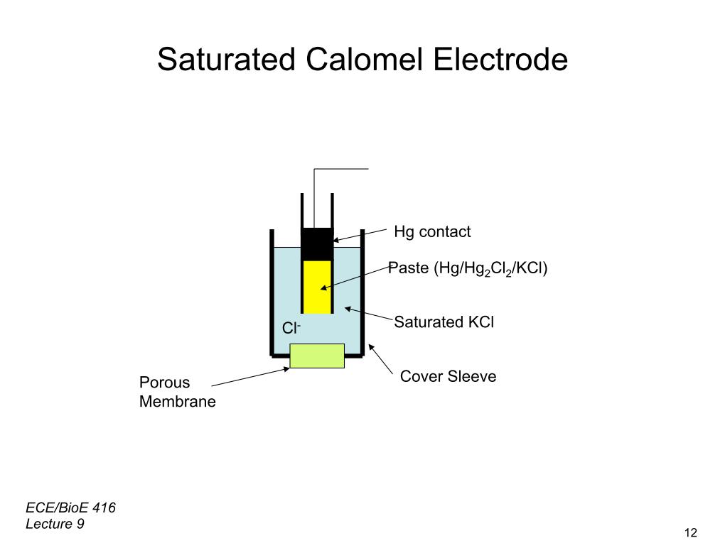 Saturated Calomel Electrode