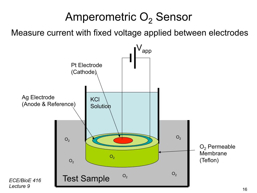 Amperometric O2 Sensor
