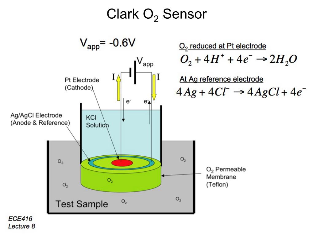 Clark O2 Sensor