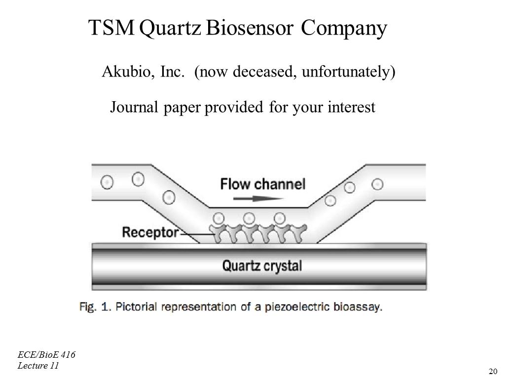 TSM Quartz Biosensor