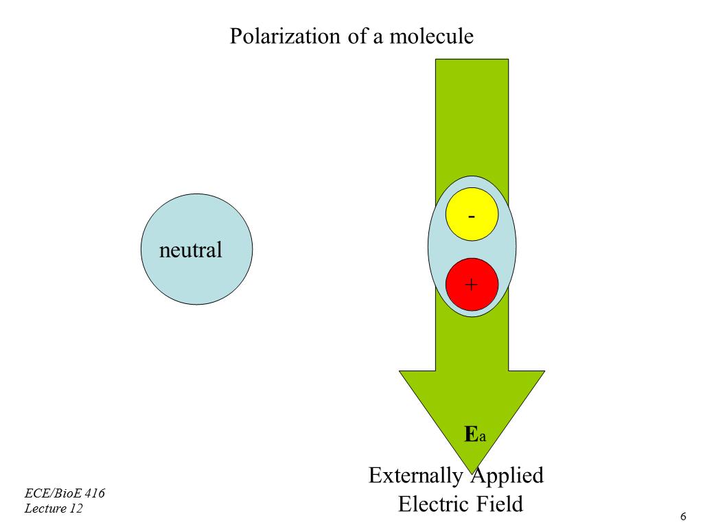 Polarization of a molecule