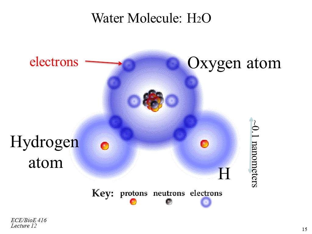 Water Molecule: H2O Oxygen atom