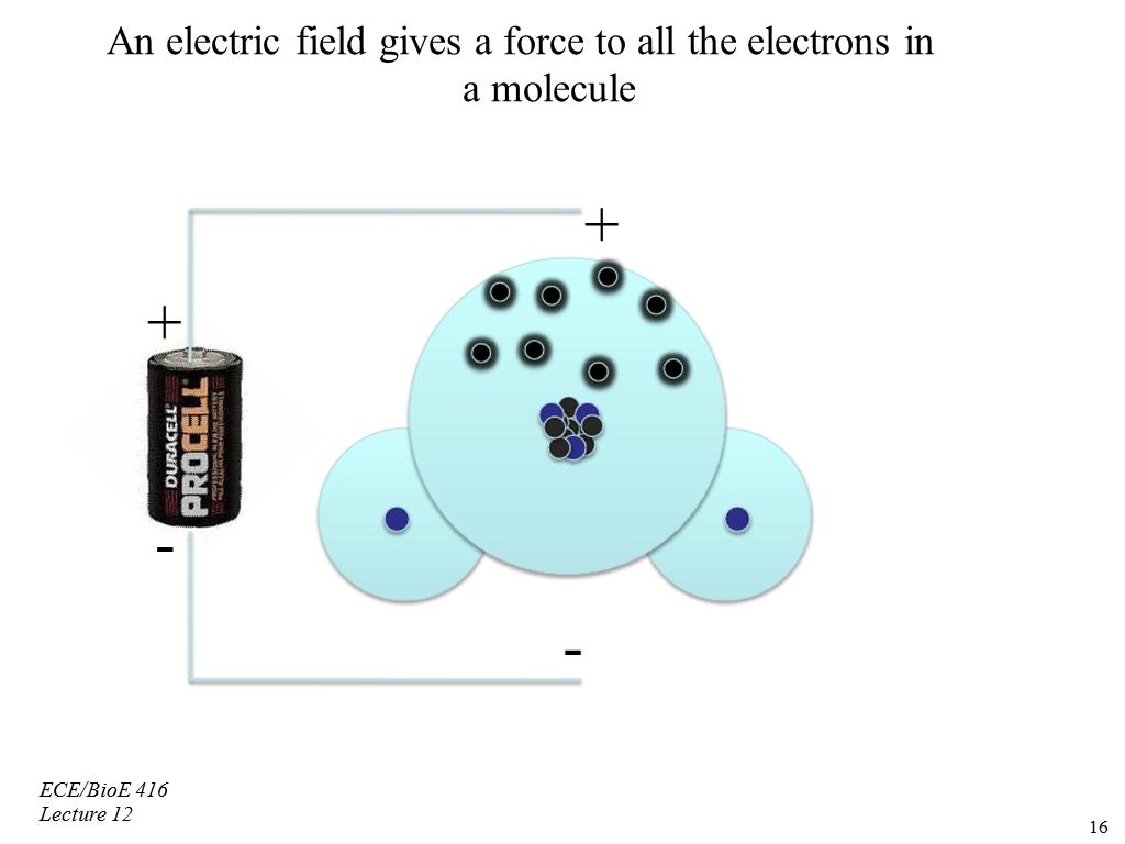 An electric field gives a force to all the electrons in a molecule + +